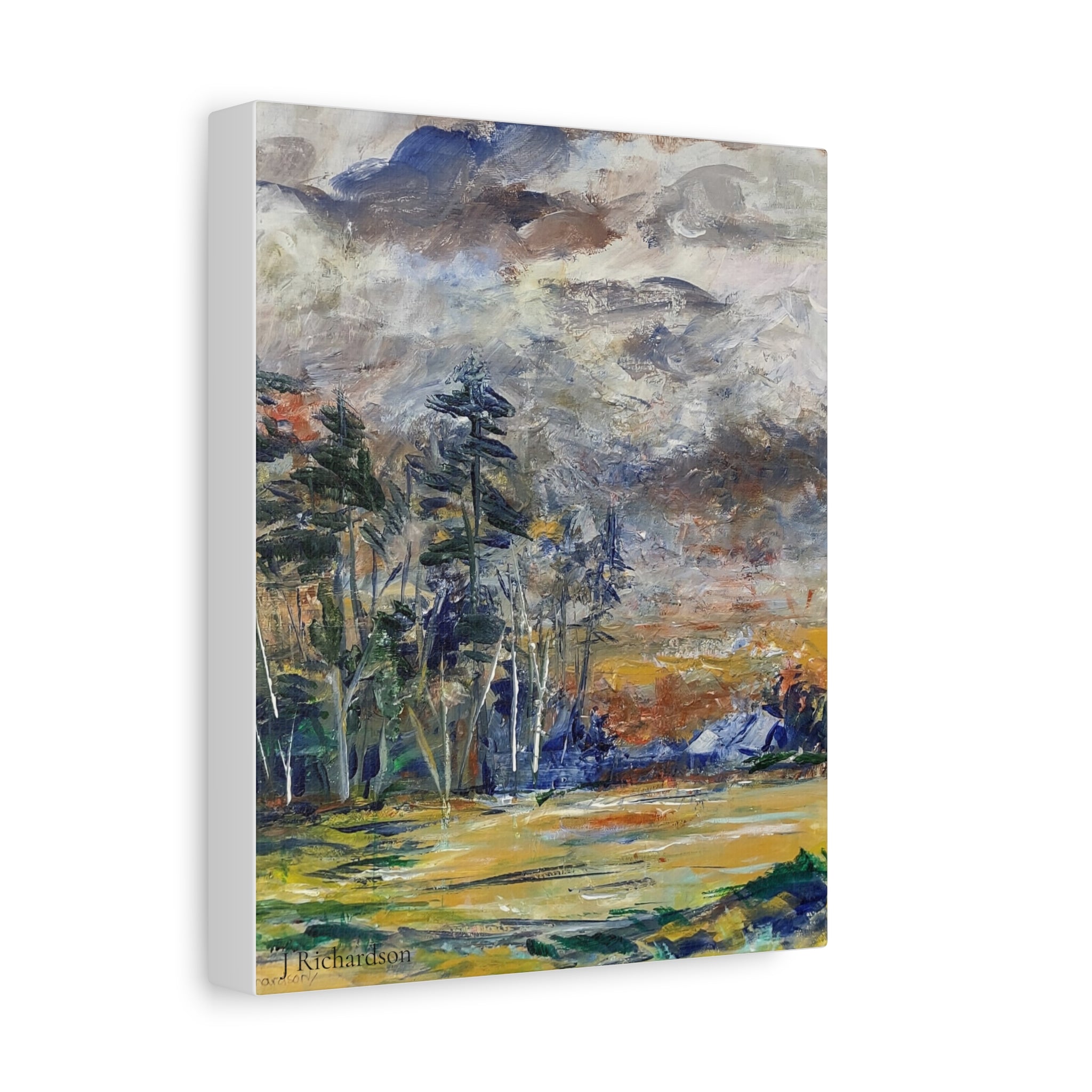 Stormy Landscape Wall Art/ stretched canvas